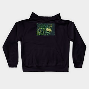 Aerial view of color autumn forest Kids Hoodie